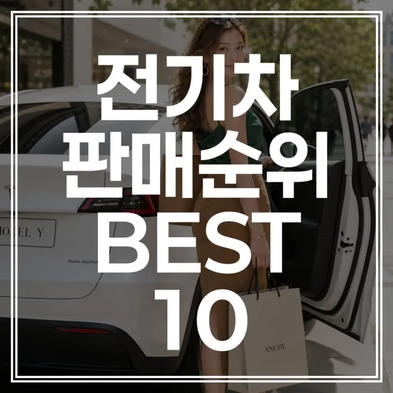 2025 전기차 판매 순위｜모델Y, EV3 실구매가 (+2026 보조금 조회)