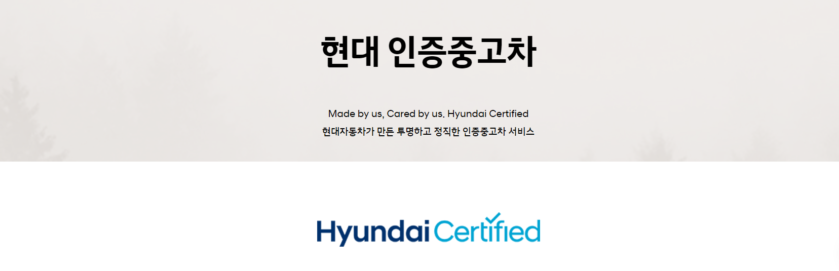 현대인증차