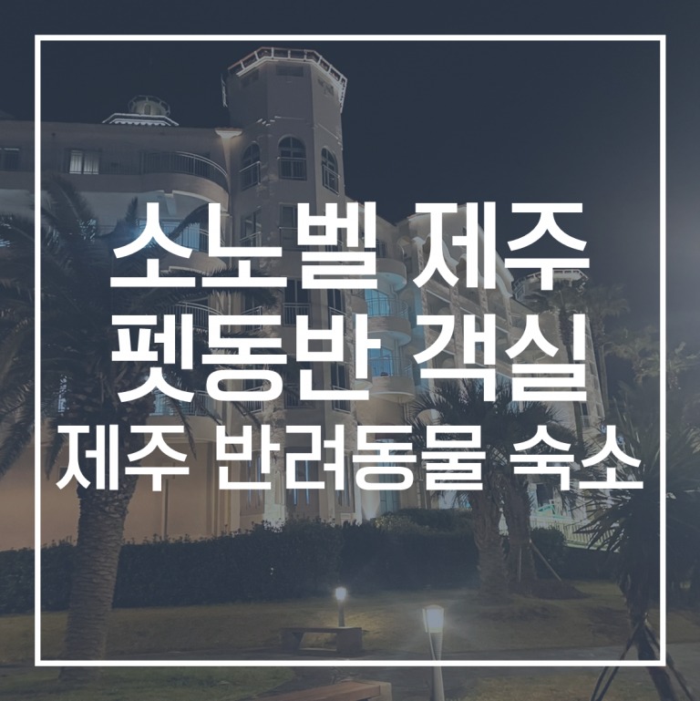제주 펫 동반 리조트 추천 | 소노벨 제주 | 반려동물 제주 숙소