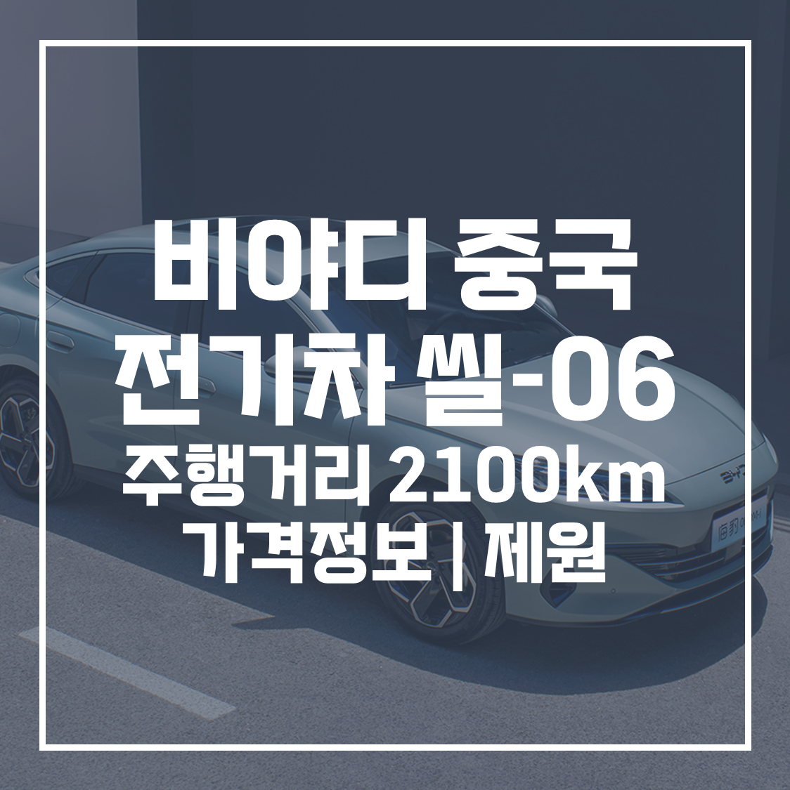 비야디 전기차
