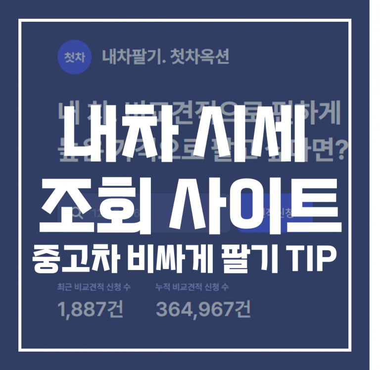내차팔때