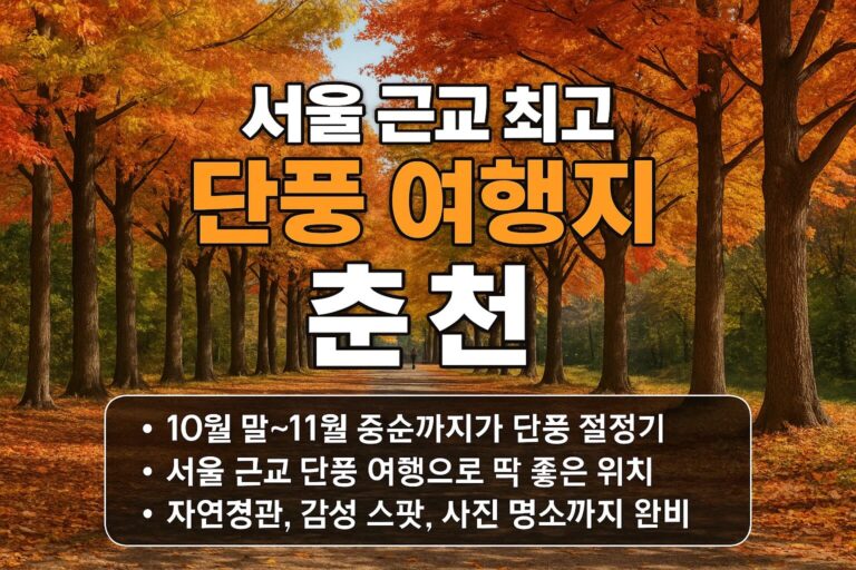 10월에 꼭 가봐야 할 춘천 단풍 명소, 현지인이 추천한 숨은 코스까지!
