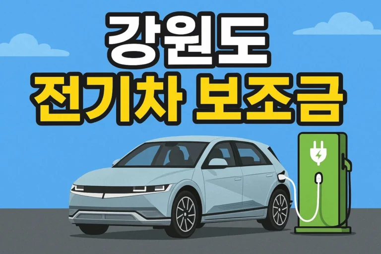 강원도 전기차 보조금