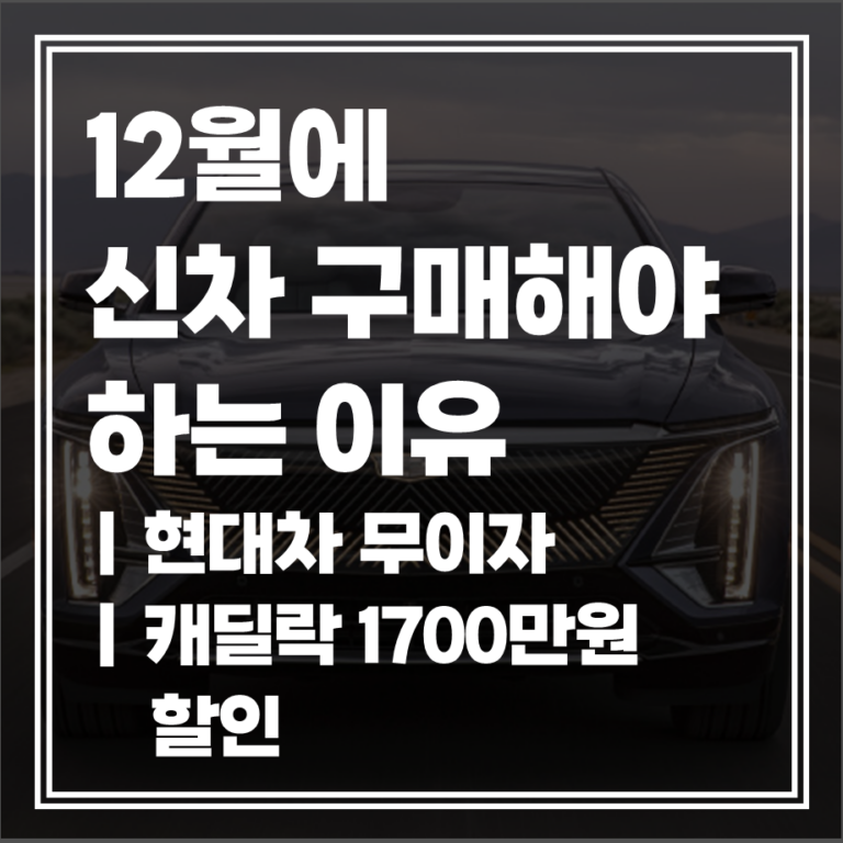12월에 신차 사야하는 이유 빅세일 & 무이자 혜택 총정리