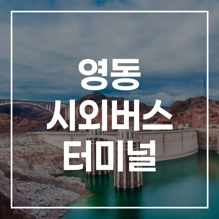 2026년 설 영동 시외버스 터미널: 예매, 시간표, 맛집, 주차