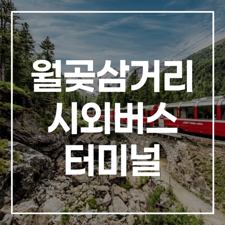 월곶삼거리 시외버스 터미널 2026 설날 완벽 이용법