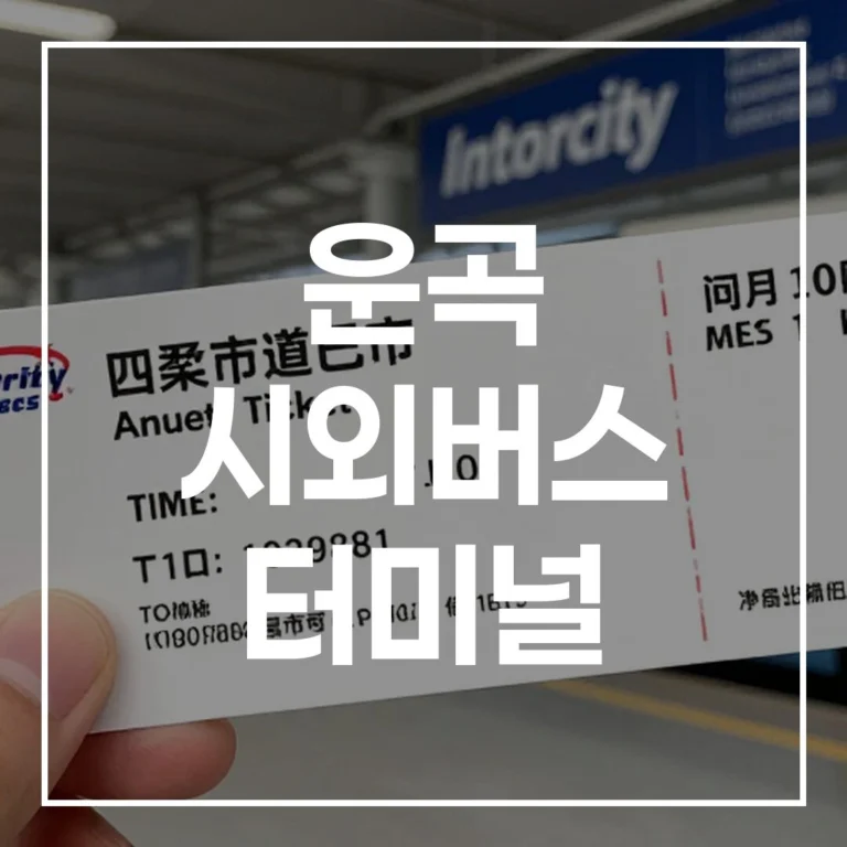 운곡 시외버스 터미널 명절 완벽 대비 예매 시간표 맛집 주차