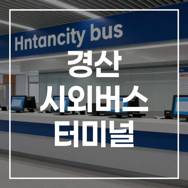 경산 시외버스 터미널 설날 예매, 시간표 꿀팁 총정리