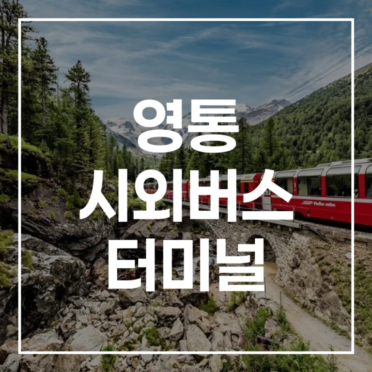 영통 시외버스 터미널 설날: 예매, 시간표, 주차, 맛집 해결