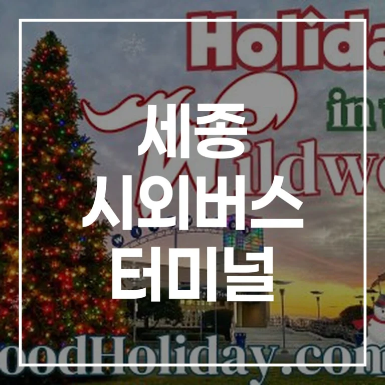 세종 시외버스 터미널 설날 예매 전쟁, 이 글 하나로 시간표부터 맛집까지 끝!