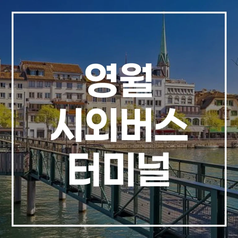 2026 설날 영월 시외버스 터미널 완벽 가이드