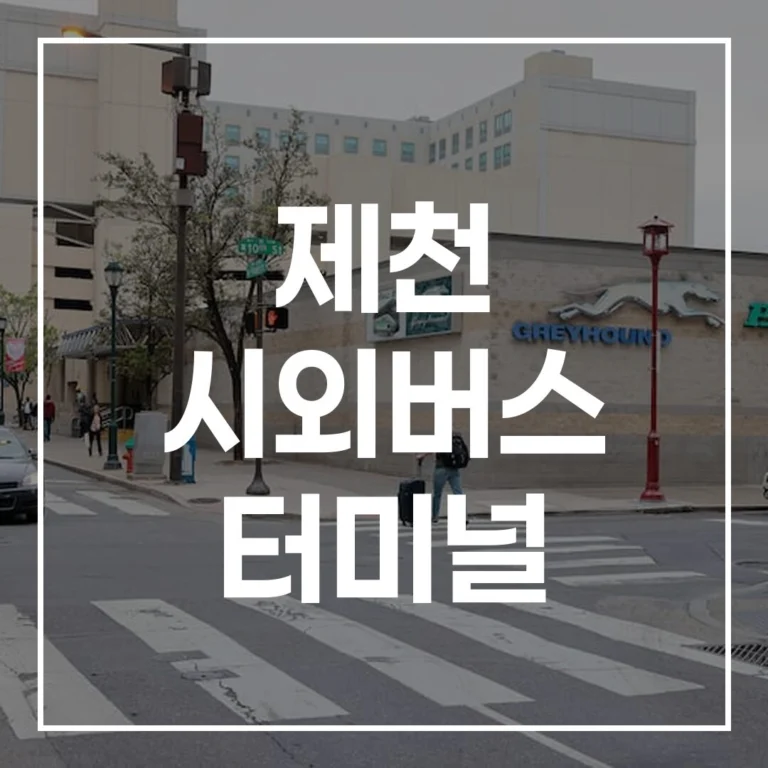 제천 시외버스 터미널 2026 설 예매 시간표 맛집 주차