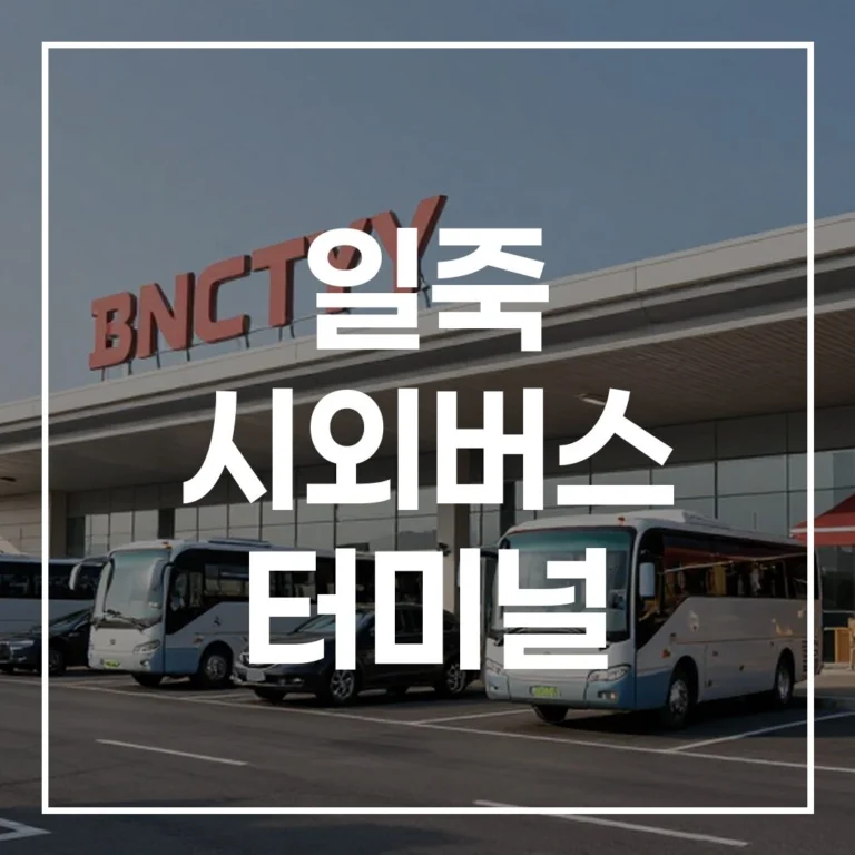 일죽 터미널 설날 예매 전쟁, 이 글 하나로 시간표 노선 맛집까지 끝