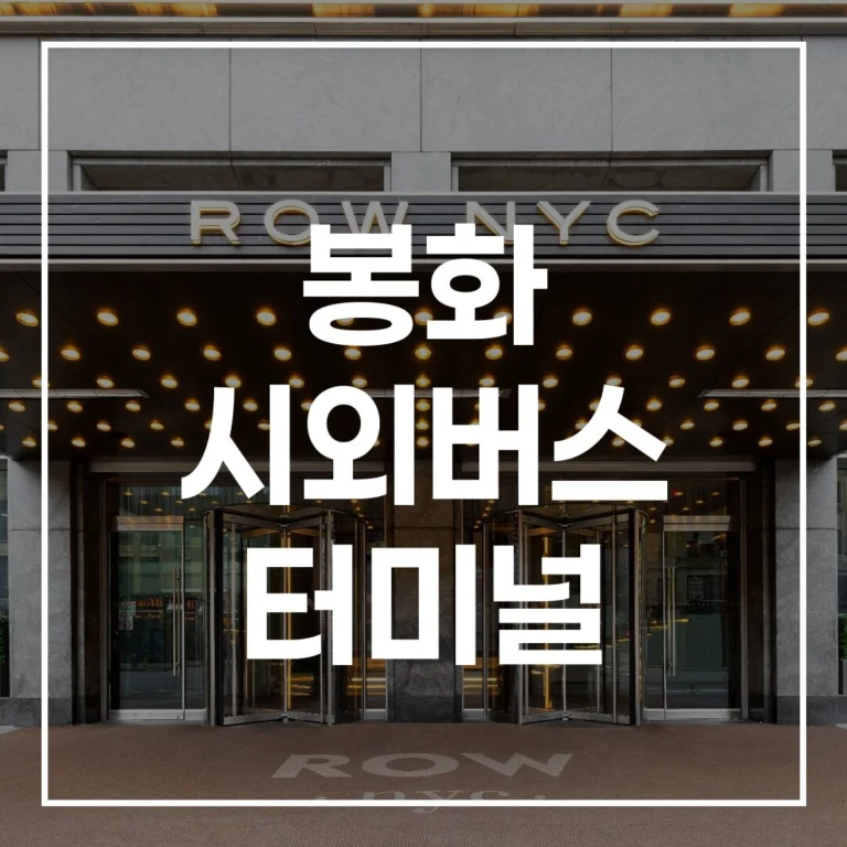 봉화 시외버스 터미널 2026 설날: 예매, 시간표, 맛집, 주차