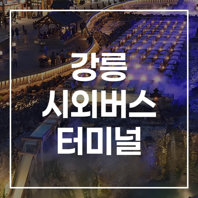 강릉 시외버스 터미널 설날 예매, 시간표, 맛집, 주차 전략