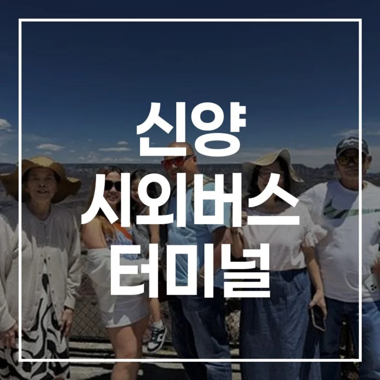 신양 시외버스 터미널 설날 예매 시간표 맛집 주차 가이드