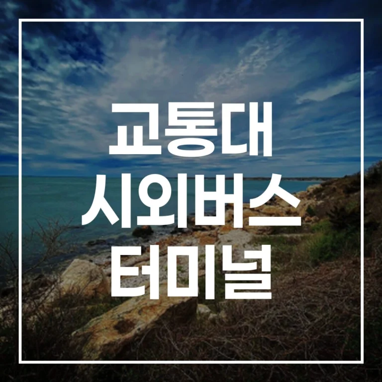 교통대 시외버스 터미널 설날 귀성길 완벽 가이드