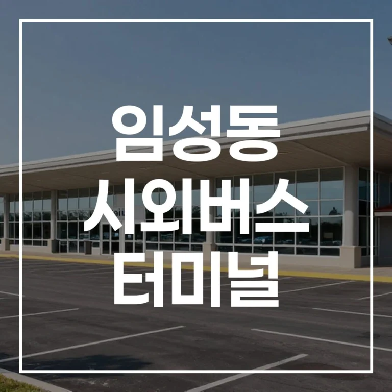 임성동 시외버스 터미널 설날 예매, 시간표, 주차, 맛집 완벽 가이드