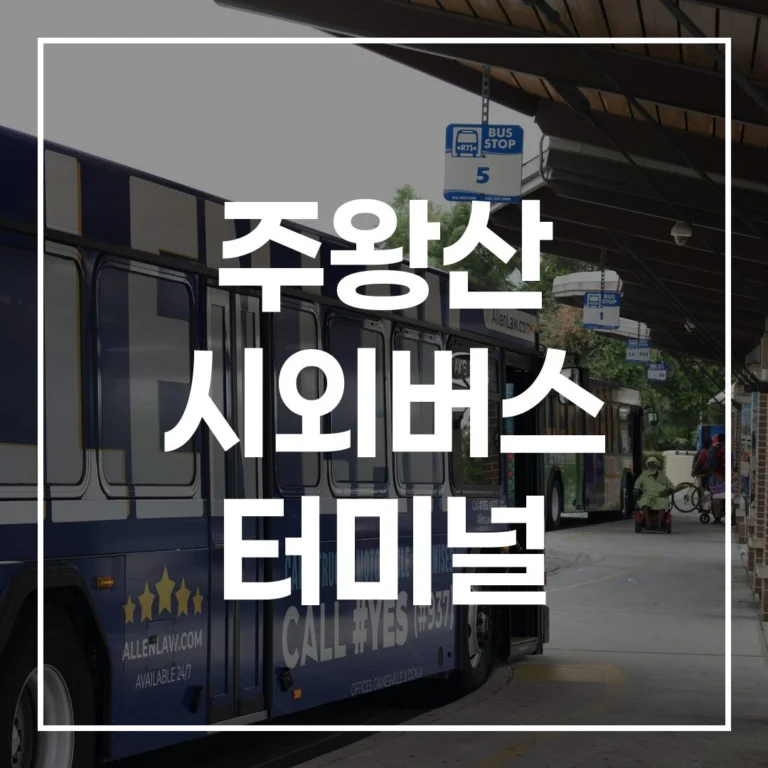 주왕산 시외버스 터미널: 설날 예매, 시간표, 맛집, 주차 총정리