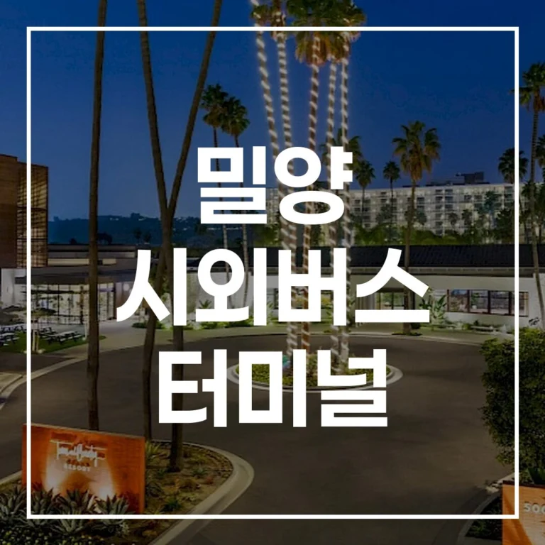 2026년 명절 대비, 밀양 시외버스 터미널 완벽 가이드