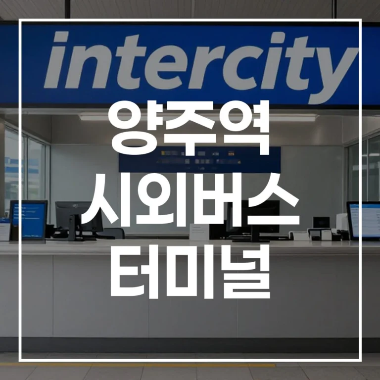 2026년 설날 예매 전쟁, 양주역 시외버스 터미널 이 글 하나로 시간표, 주차, 맛집까지 끝!