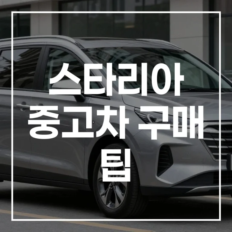 스타리아 중고차 구매 팁: A부터 Z까지 완벽 분석
