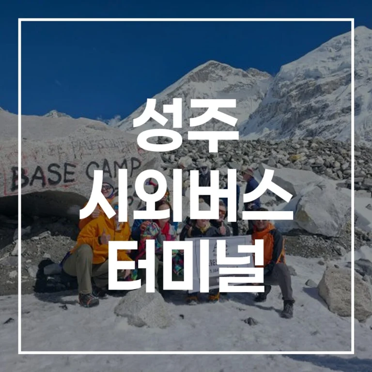 성주 시외버스 터미널: 예매, 시간표, 맛집, 주차 총정리