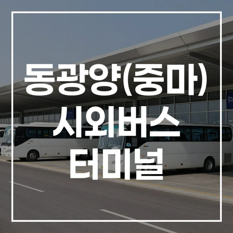 동광양(중마) 설날 버스 예매, 시간표, 맛집, 주차 총정리