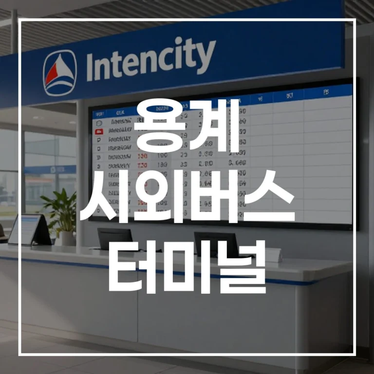 용계 시외버스 터미널 명절 귀성 완벽 가이드