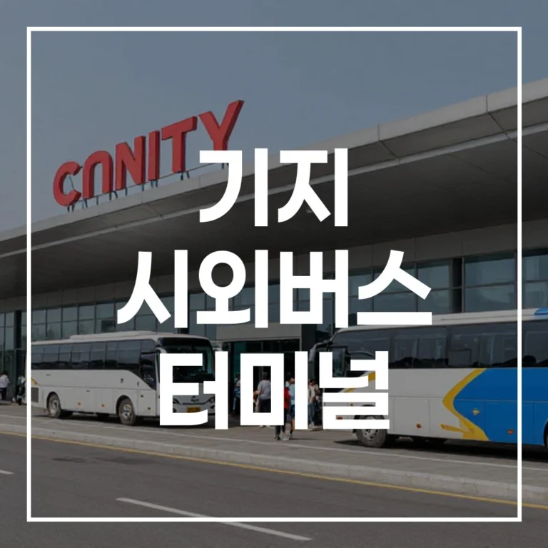 기지 시외버스 터미널 설 예매 시간표 맛집 주차 총정리
