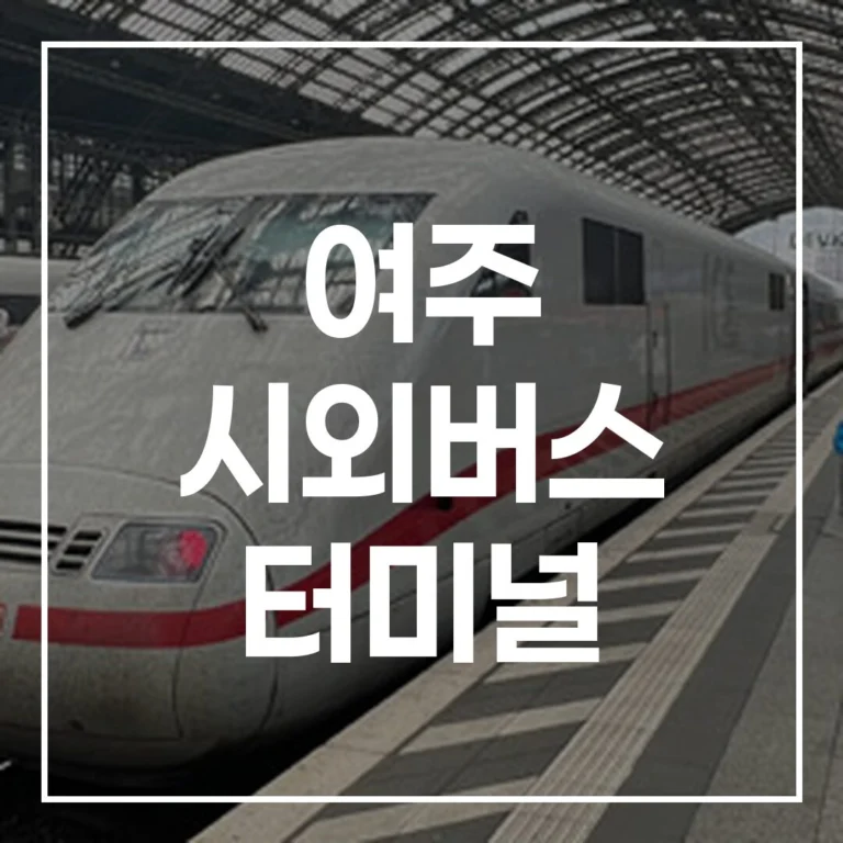 2026년 설 여주 시외버스 터미널: 예매, 시간표, 주차, 맛집 총정리