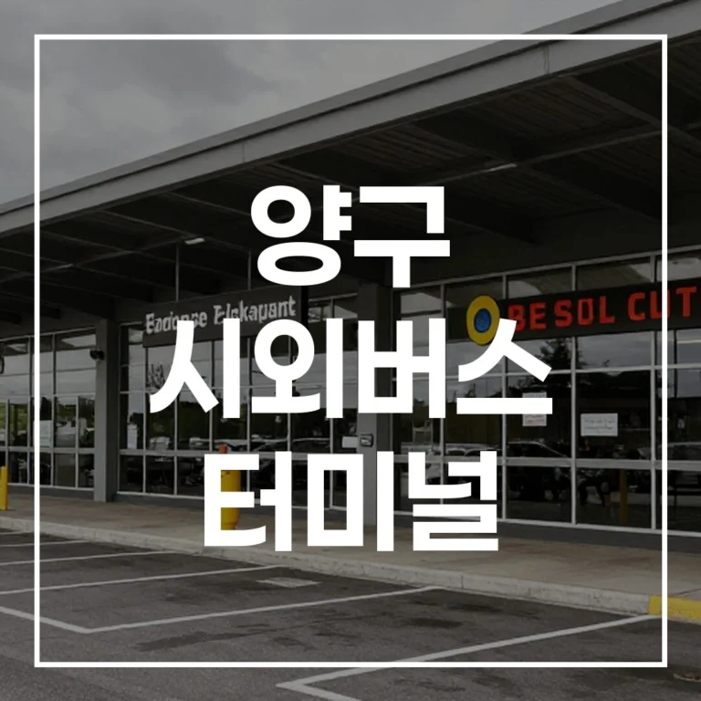 2026 설날 양구 시외버스 터미널 예매, 시간표, 맛집, 주차 꿀팁