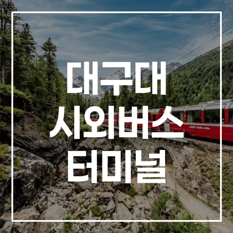 2026 설날 대구대 시외버스 터미널 예매 시간표 주차 꿀팁