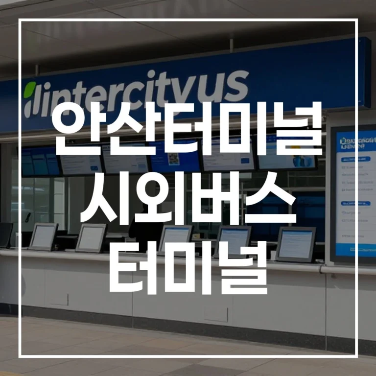 안산터미널 명절 예매 전쟁 끝 시간표, 맛집, 주차 정보 완벽 가이드