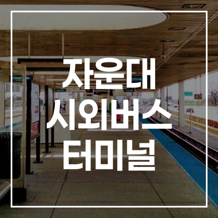 자운대 시외버스 터미널 명절 가이드: 예매, 시간표, 주차, 맛집