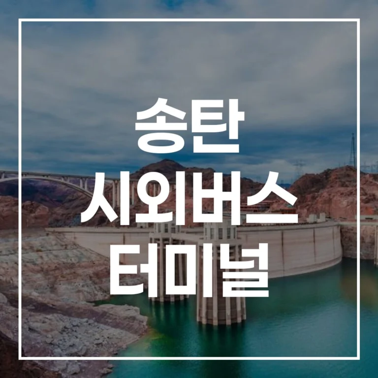 2026년 설날 예매 전쟁 끝! 송탄 시외버스 터미널 시간표부터 맛집까지 총정리