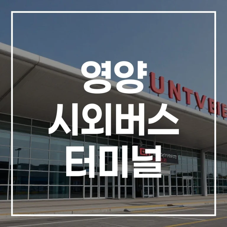 설날 영양 시외버스 터미널: 예매, 시간표, 주차, 맛집 완벽 총정리