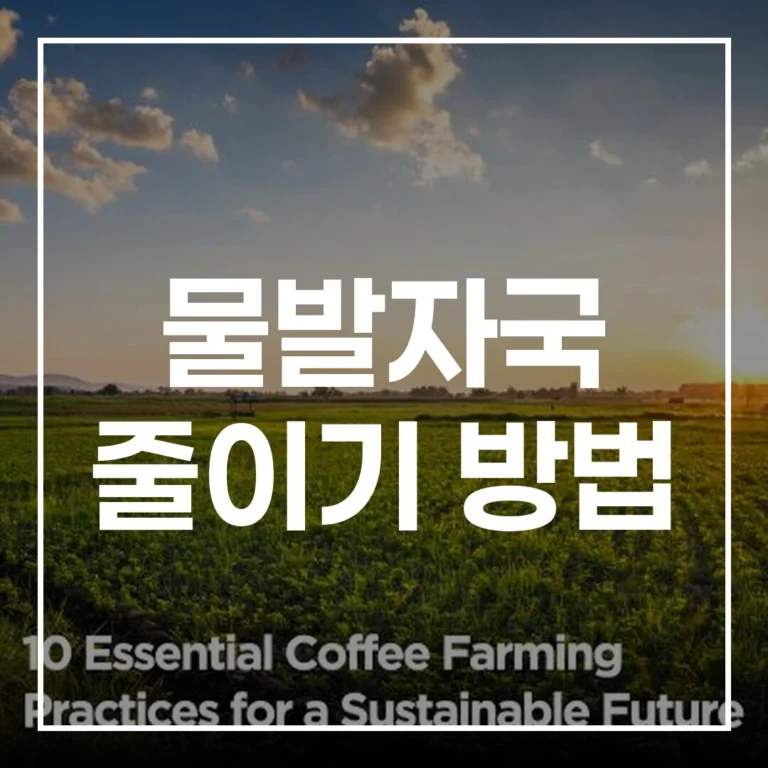 오늘부터 바로 시작하는 물발자국 줄이기 방법: A to Z 실천 가이드