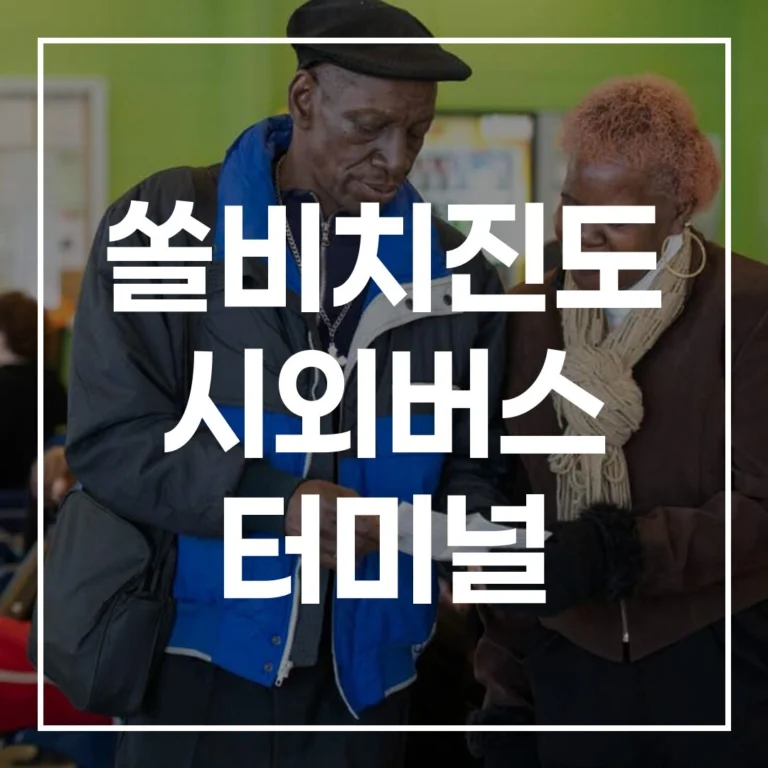 쏠비치진도 시외버스 터미널 설날 예매 전쟁, 시간표부터 맛집까지 이 글 하나로 끝!