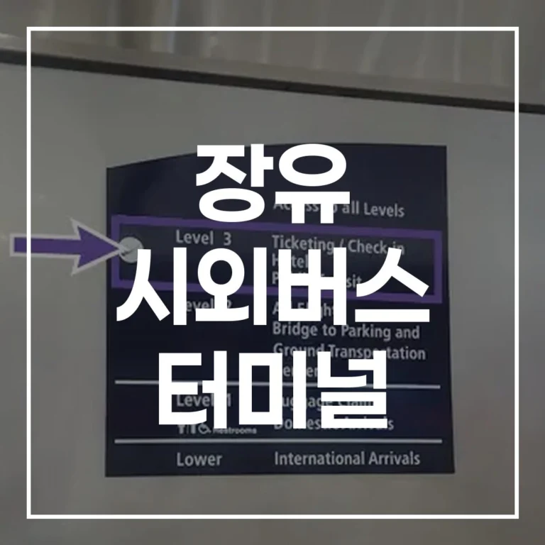 2026 설날, 새로워진 장유 시외버스 터미널 가이드