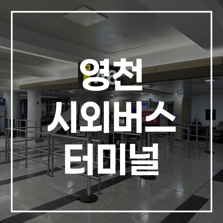 영천 시외버스 터미널 2026 설날 예매 시간표 주차 맛집