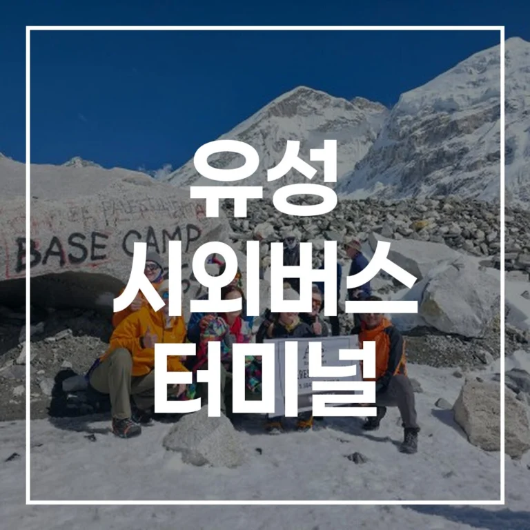 유성 시외버스 터미널: 예매, 시간표, 맛집, 주차 완벽 가이드