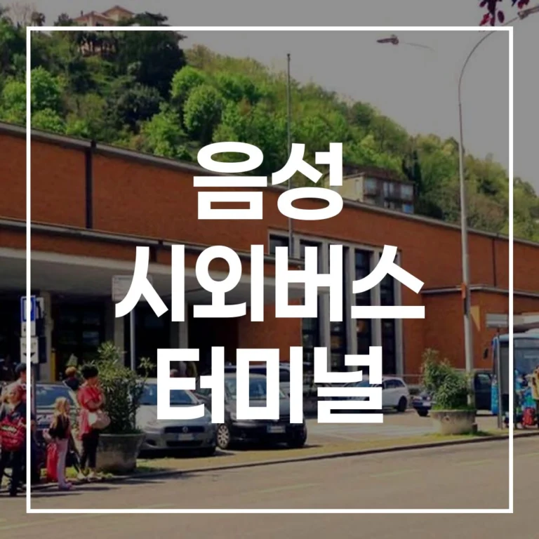 음성 시외버스 터미널 설날 예매 끝! 시간표 주차 맛집 총정리