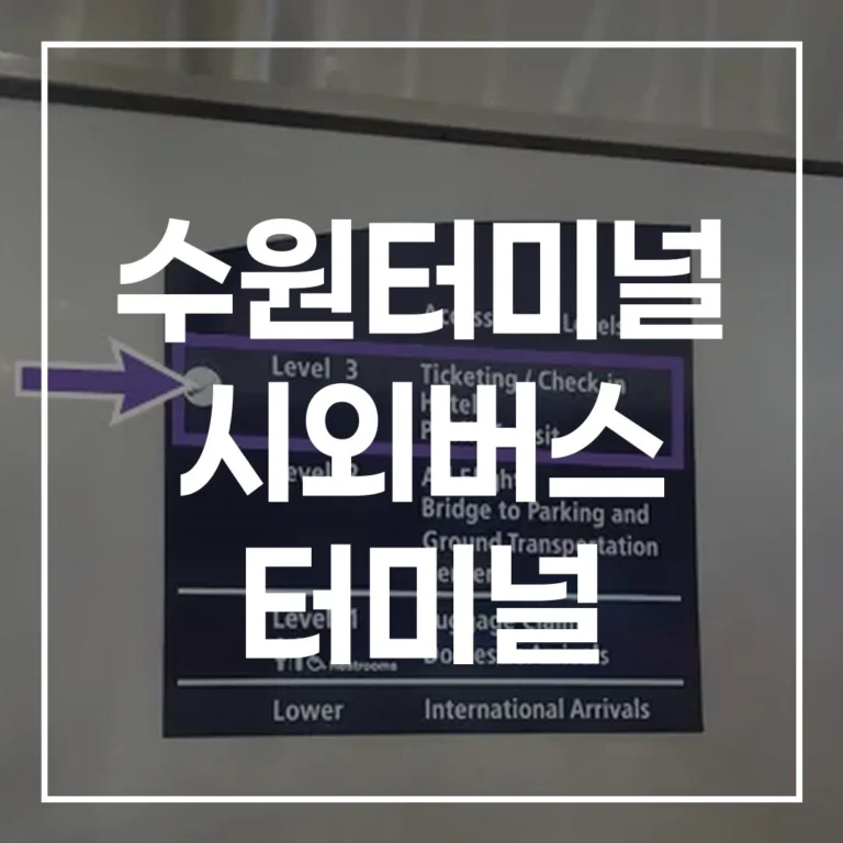 수원터미널 설날: 예매, 시간표, 맛집 이 글 하나로 끝!