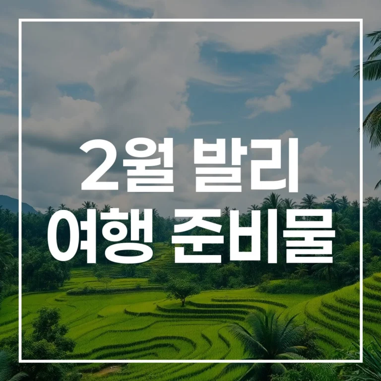 2월 발리 여행 준비물: 우기 옷차림 짐싸기 팁