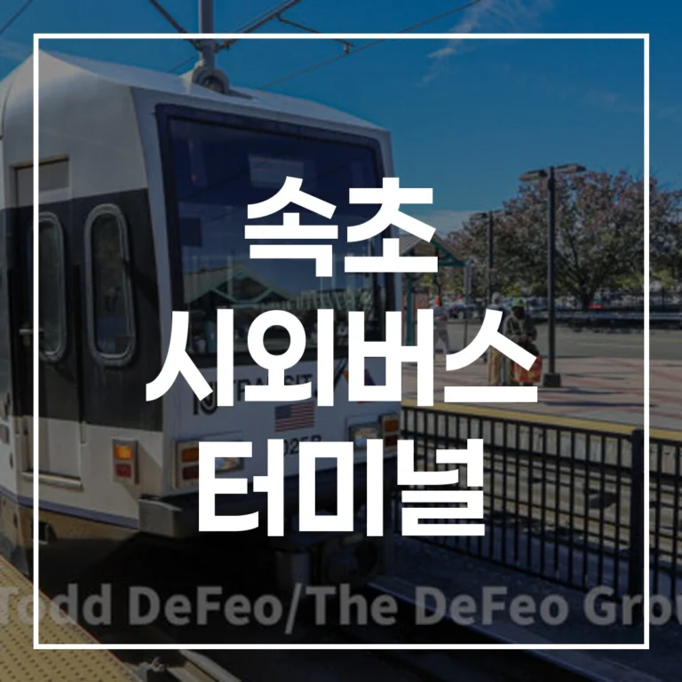 속초 시외버스 터미널 설날 예매, 시간표, 맛집, 주차 A to Z