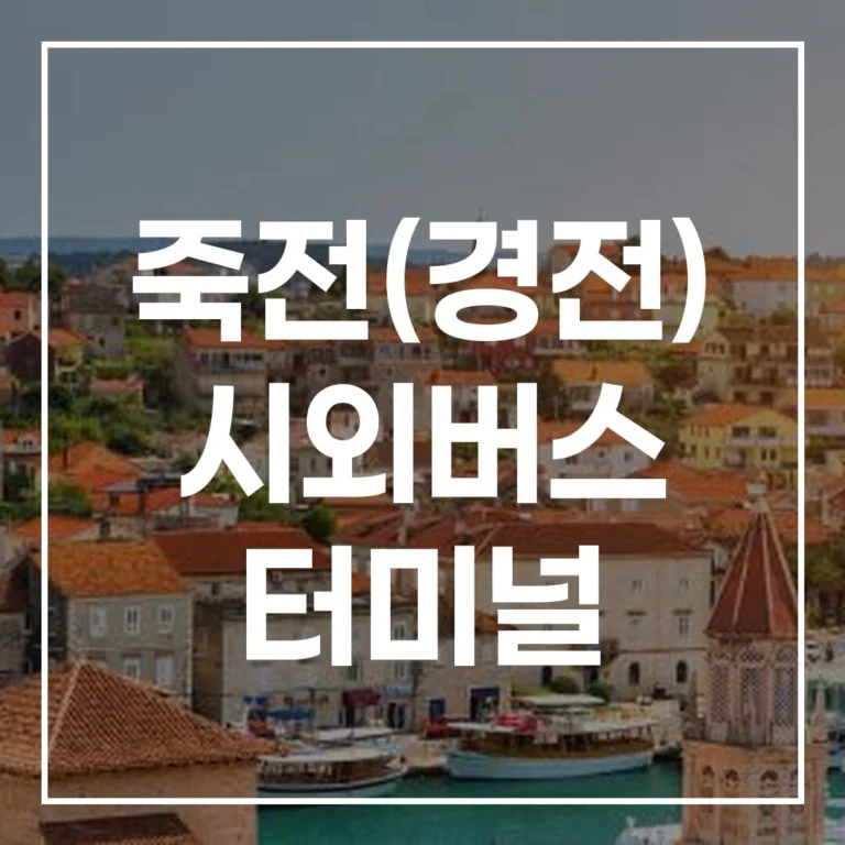 죽전 터미널 설날 예매, 시간표, 주차, 맛집 총정리