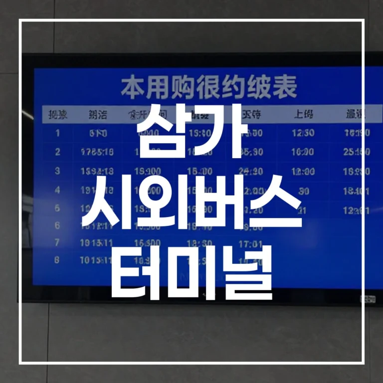 삼가 시외버스 터미널 2026 설날, 귀성길 올인원 가이드!