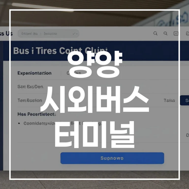 양양 시외버스 터미널 설날 예매, 이 글 하나면 끝! (2026년 최신 시간표, 주변 맛집, 주차 정보 총정리)