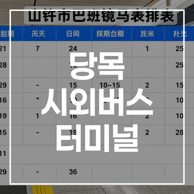 당목 터미널 2026 명절 가이드: 예매·시간표·맛집·주차